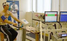 فیزیولوژی یا کار اندام شناسی