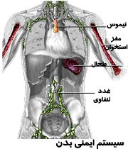 دستگاه دفاعی بدن