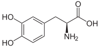 لوودوپا (به انگلیسی: Levodopa)‏ یا L-DOPA