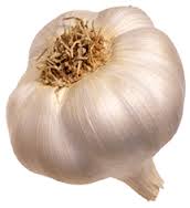 گارلیک به انگلیسی: (Garlic)