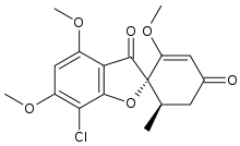 گریزئوفولوین یا گریزوفولوین (Griseofulvin)
