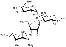 نئومایسین (به انگلیسی: Neomycin)‏