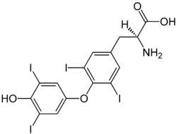 لووتیروکسین (به انگلیسی: Levothyroxine)‏
