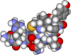 هورمون آنتی‌دیورتیک (ADH) یا وازوپرسین (به انگلیسی: Vasopressin)‏